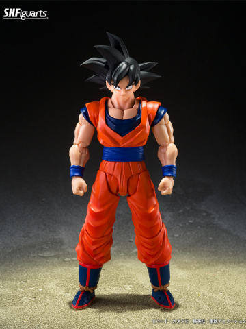 SHF 孙悟空〈善良的赛亚人〉
