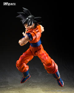 SHF 孙悟空〈善良的赛亚人〉-资料图
