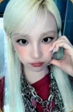 mp预售 ver.B