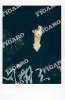 费加罗E版隐藏卡 ver.D