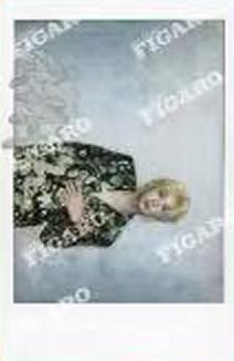 费加罗D版隐藏卡 ver.A