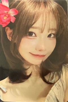 wvscon球衣卡mgt