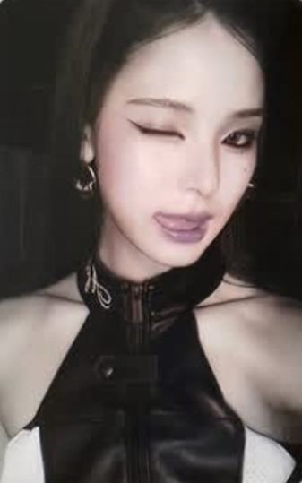 wm预售 麦