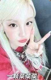 muvve预售 ver.C