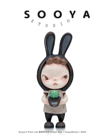SOOYA-2