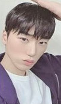 七周年快闪A版随机卡5 ver.A