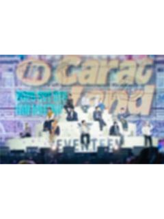 25克拉岛塔店票夹