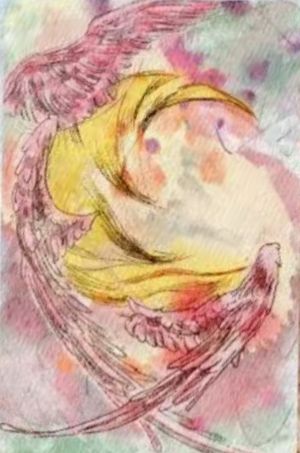所以我是你的太阳吗 隐藏卡