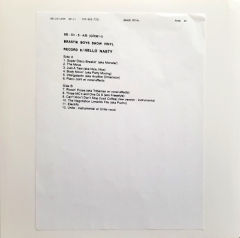 Show Vinyl Record 6 / Hello Nasty