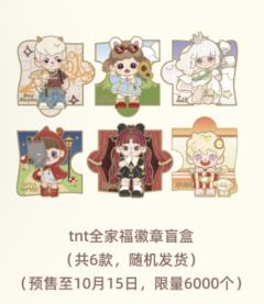 TNT全家福徽章盲盒-资料图