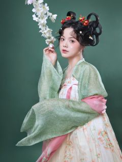 荇衣—齐胸衫裙-资料图
