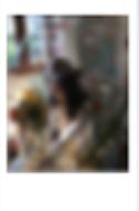 q音碎卡限定拍立得