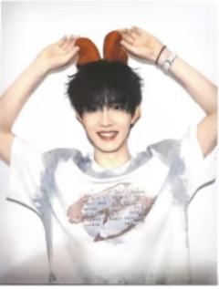 无所畏计划组合款撕拉片 苏