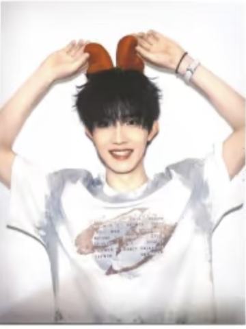 无所畏计划组合款撕拉片 苏