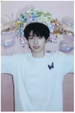 无所畏计划单人款小卡 朱 ver.A