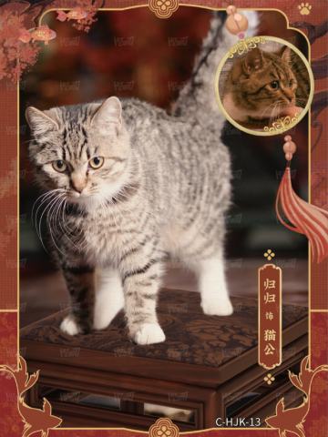 华裾卡1