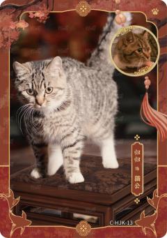 华裾卡1