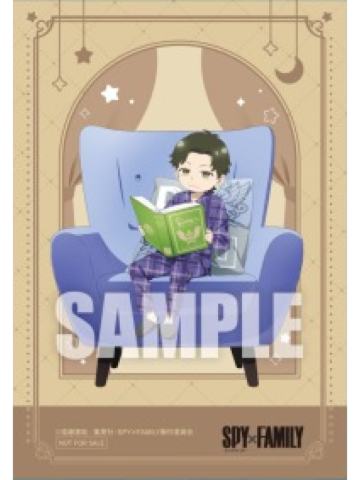 达米安·德斯蒙-冬季博览会睡衣系列满赠明信片