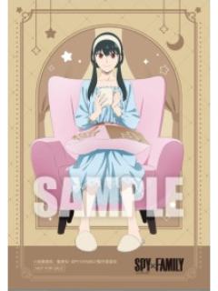 约尔·福杰-冬季博览会睡衣系列满赠明信片