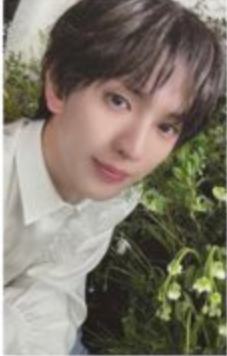 yours版专卡5 ver.B