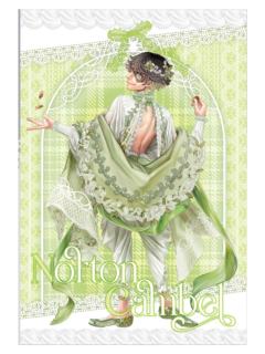 勘探员-水溜鸟甜蜜世界故事满赠明信片