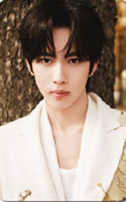 风尚志B版大片卡 ver.B