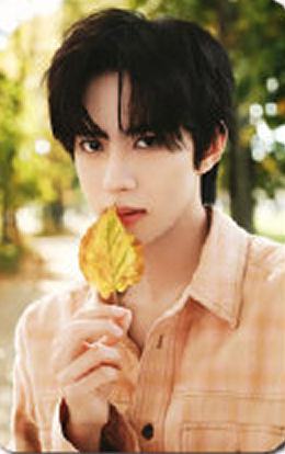 风尚志B版自拍卡 ver.A