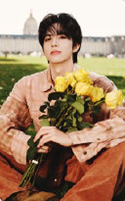 风尚志A版大片卡 ver.C