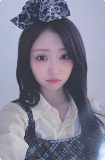 wf预售2