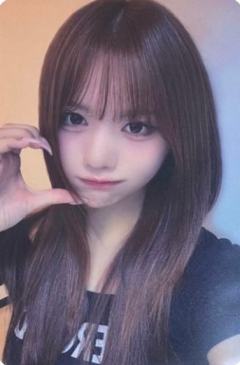 wf预售5