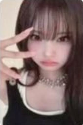 专卡6 ver.E