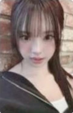 专卡6 ver.H