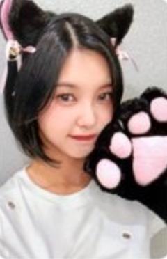 muvve签售4 线上ver.