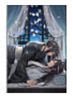 魏无羡＆蓝忘机3-日本邮局联动明信片