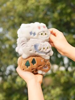 银渐层抓夹-资料图