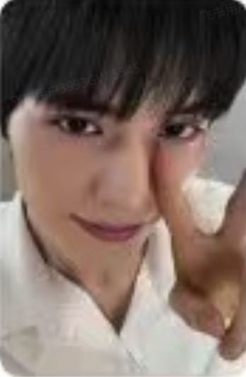 专卡4 ver.A