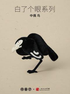 鸟中偶