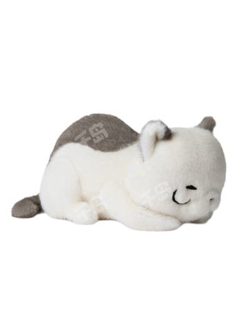 猫中偶