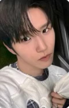 k4预售4