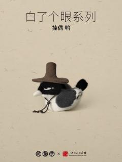 鸭挂偶