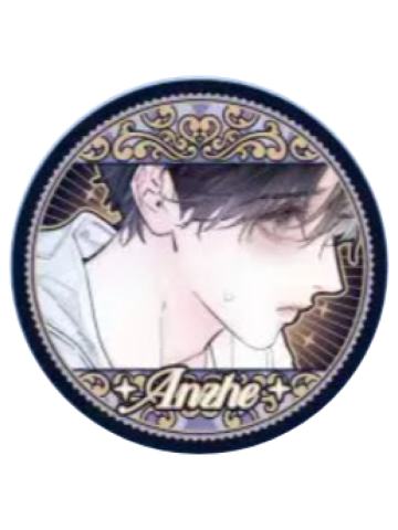 安折3-回溯时空系列徽章