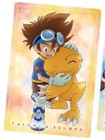 太一和亚古兽-万代食玩数码宝贝视觉艺术收藏卡