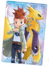 牧野留姬和妖狐兽-万代食玩数码宝贝视觉艺术收藏卡