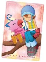 素娜和比丘兽-万代食玩数码宝贝视觉艺术收藏卡