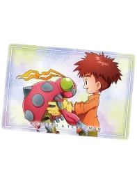 光子郎和甲虫兽-万代食玩数码宝贝视觉艺术收藏卡