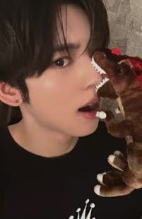 sw预售9 恐龙ver.