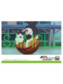 10-十周年纪念MV相卡