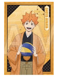 日向翔阳(明信片套组)-toho十周年纪念系列周边