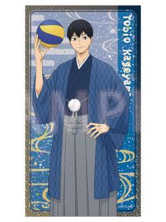 影山飞雄(闪卡)-toho十周年纪念系列周边