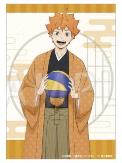 日向翔阳(收藏板)-toho十周年纪念系列周边